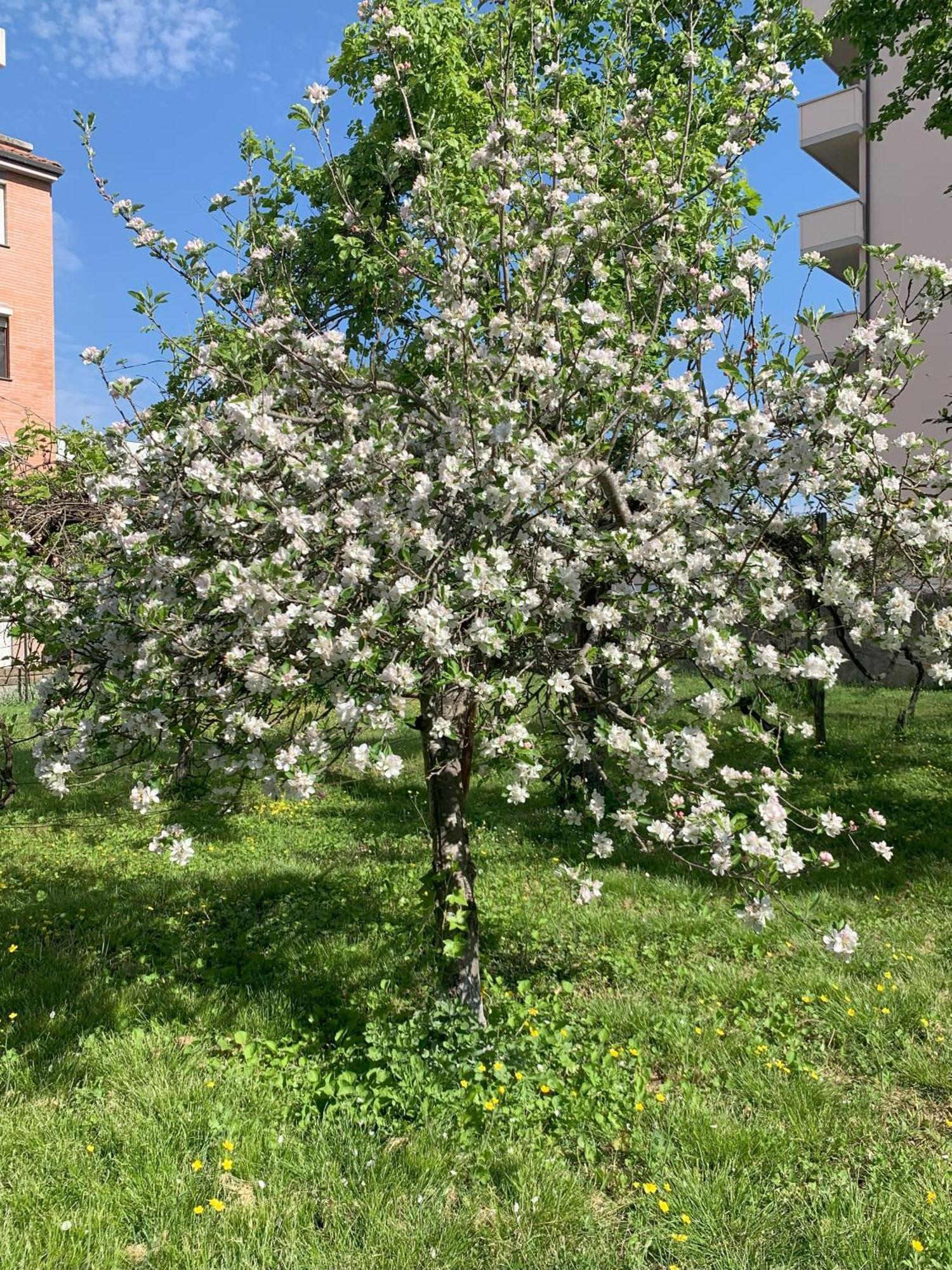 Paradisa28 - Amalfi Pisa Bagian luar foto